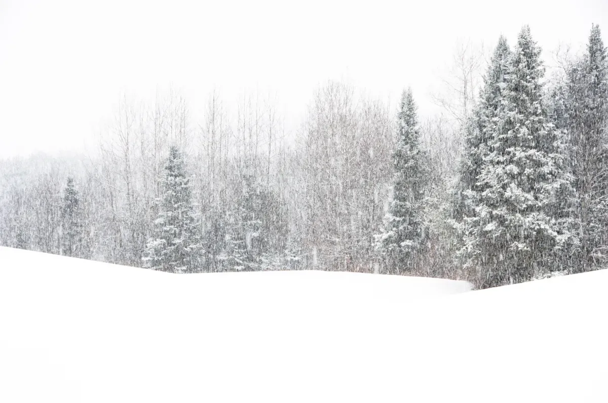 Qış fırtınası xəbərdarlığı: Şimal-şərqi 40 sm qar bürüyəcək