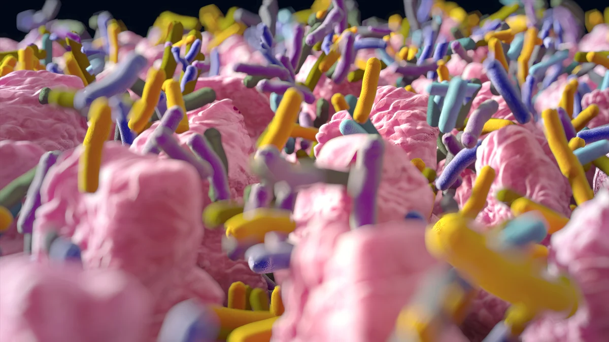 Kron xəstəliyinin həlledici genetik mutasiyası nəhayət aşkarlandı