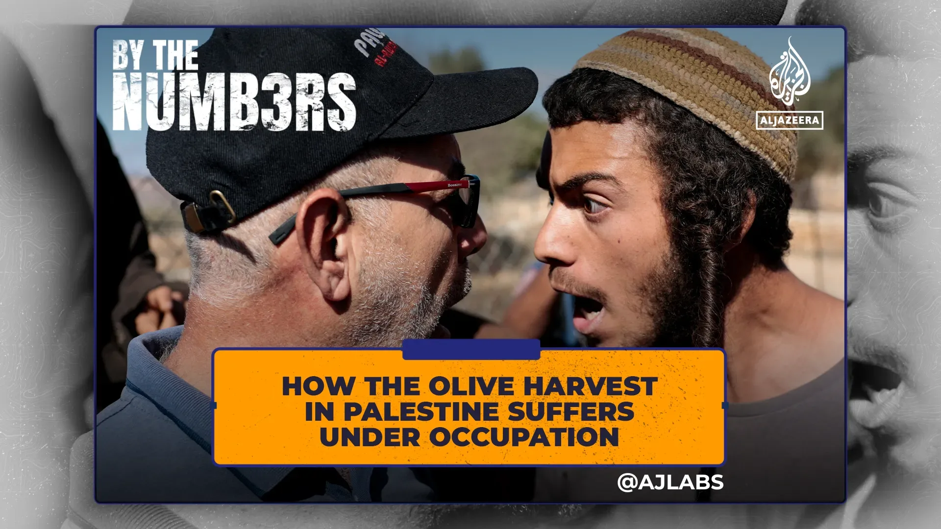 İşğal Fələstin zeytun yığımına necə zərbə vurur