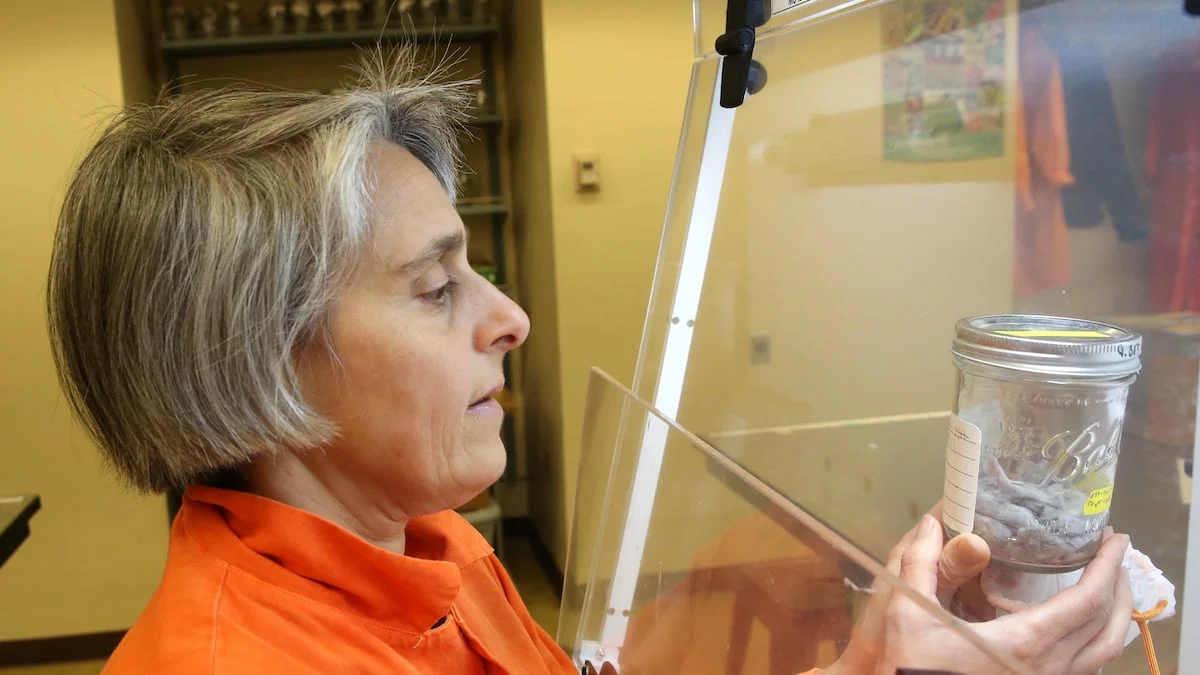 PSU Paltaryuyan və quruduculardan mikroplastiklərin azaldılması