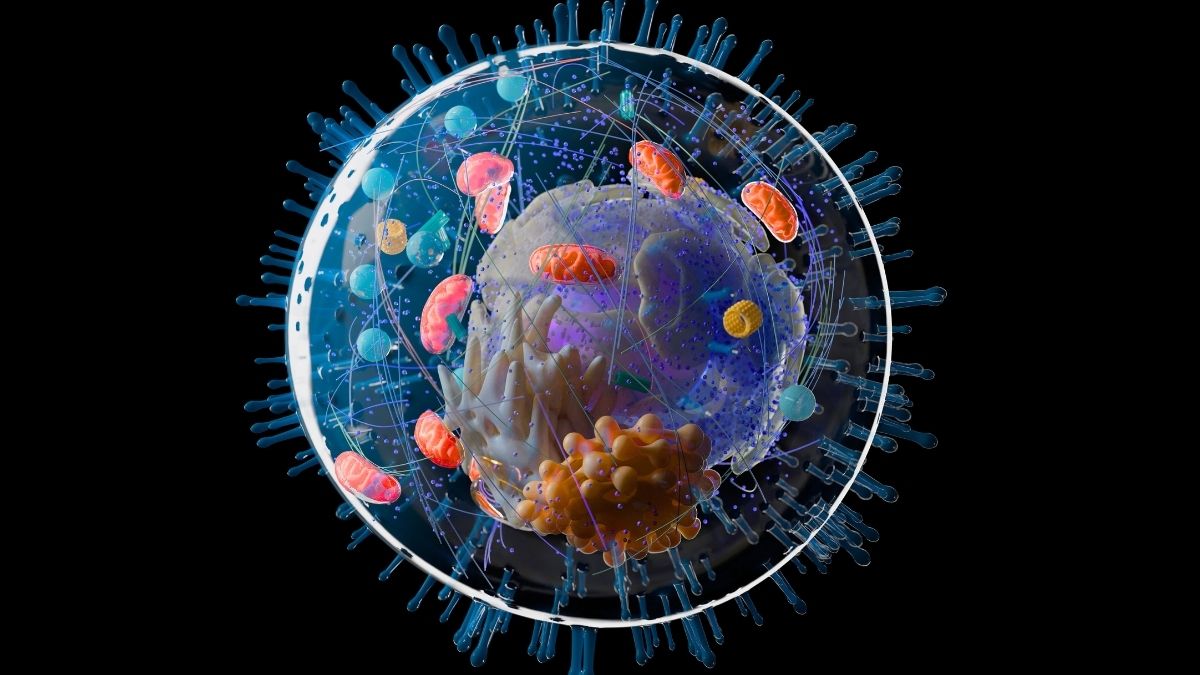 Mürəkkəb həyatın yaşı gözləniləndən milyardlarla il çox ola bilər