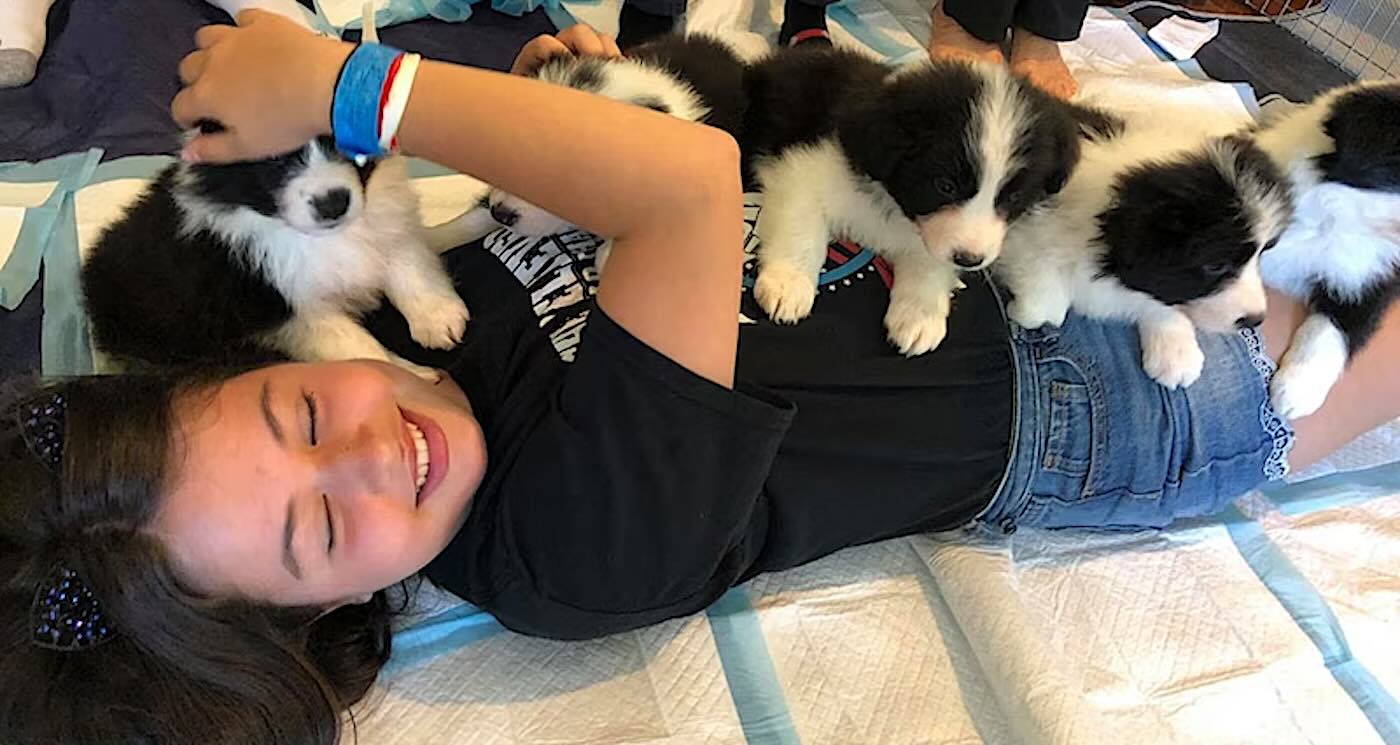 İt balaları ağır xəstə uşaqların könlünü oxşayır