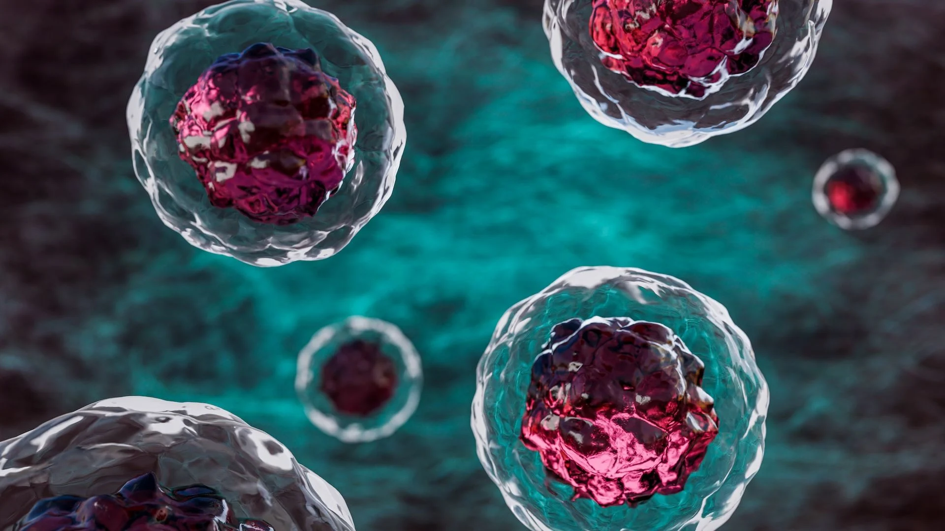 Qan damarlarındakı qocalmış hüceyrələr diabet müalicəsinə açar ola bilər