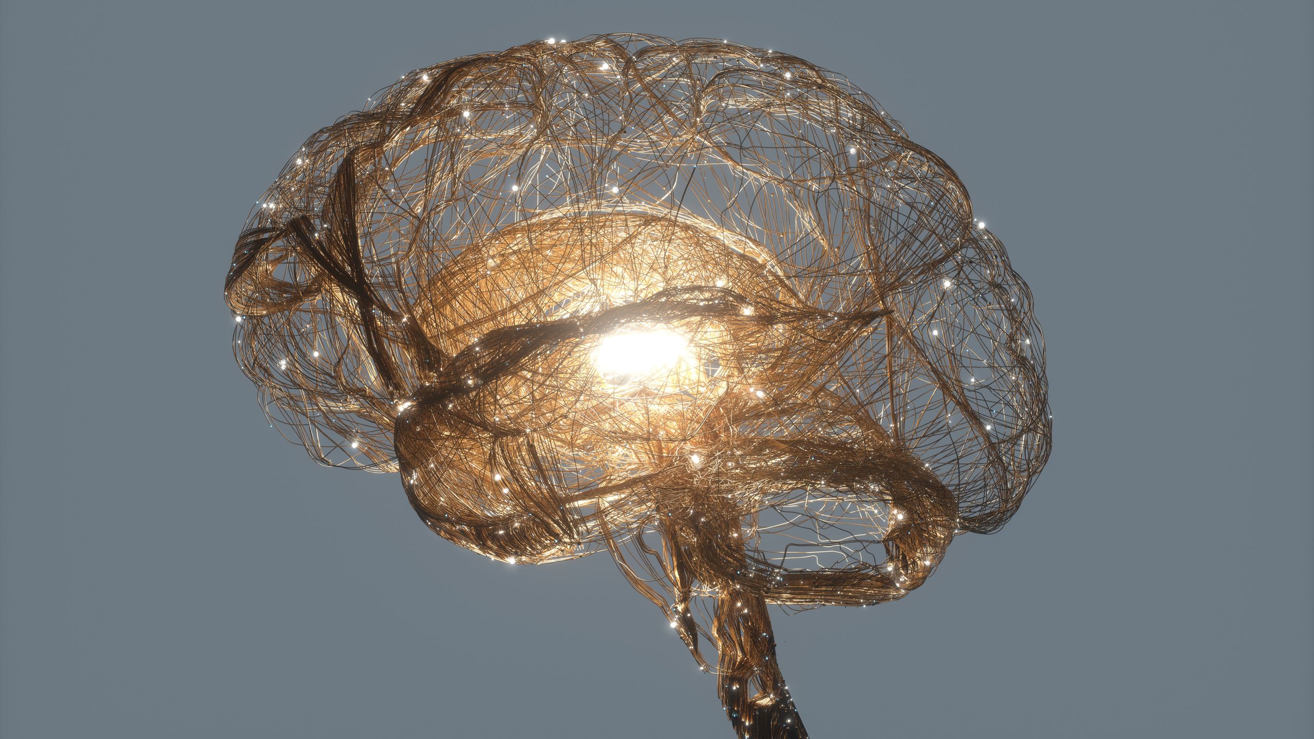 Neyrobioloq Kukuşkin insan şüurunu ilk hüceyrələrə qədər izləyir