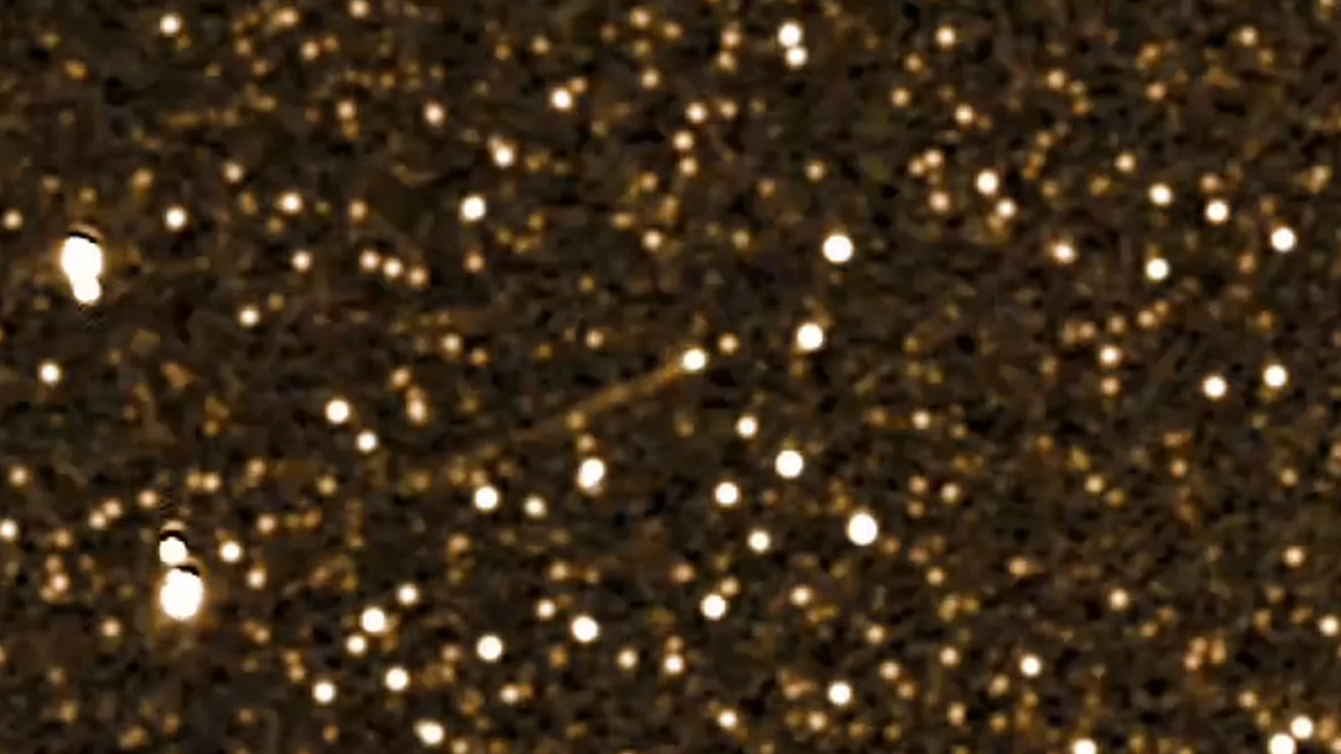 NASA-nın kosmik gəmisi 40 günlük zaman keçidi ilə SWAN kometini izlədi, hətta 3I/ATLAS-ı da gördü