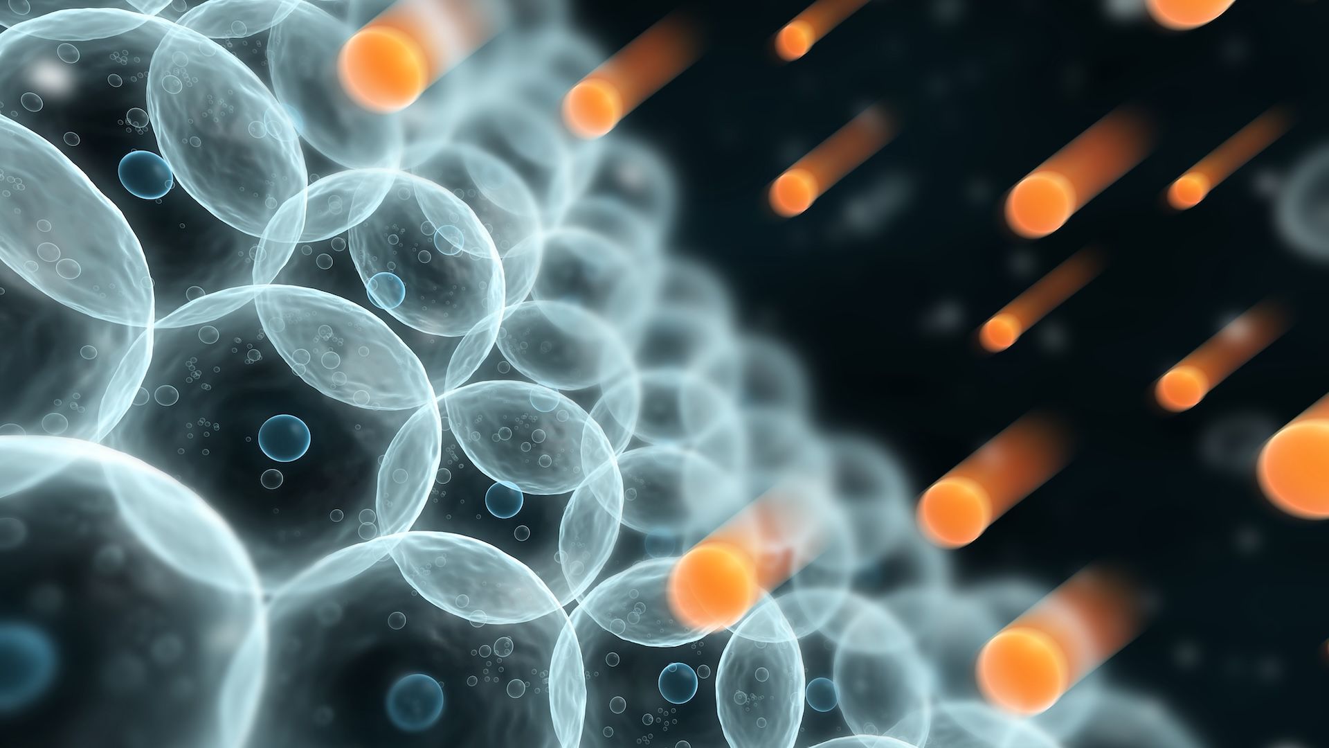 Sərbəst radikallar: Zərərli, yoxsa faydalı