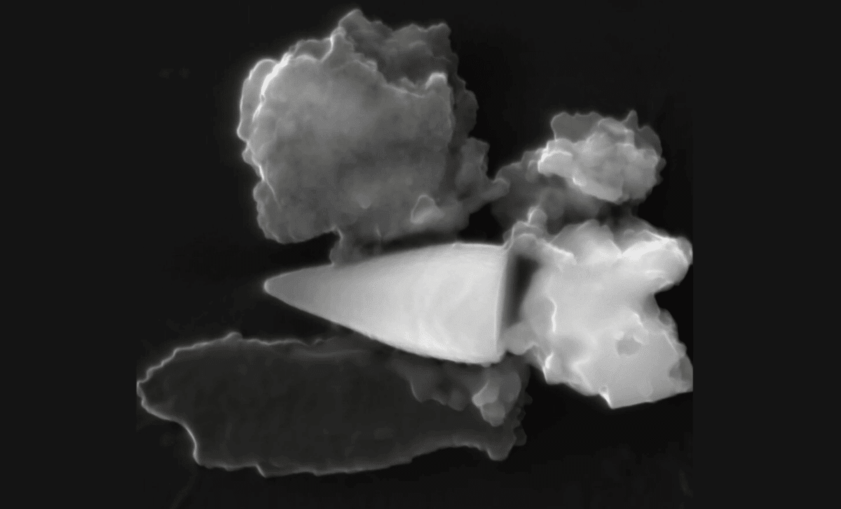 Alimlər 97 milyon illik daxili GPS-li naməlum canlı fosilləri tapdı