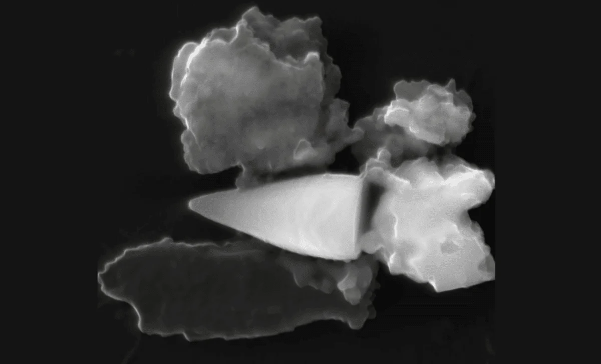 Alimlər 97 milyon illik daxili GPS-li naməlum canlı fosilləri tapdı