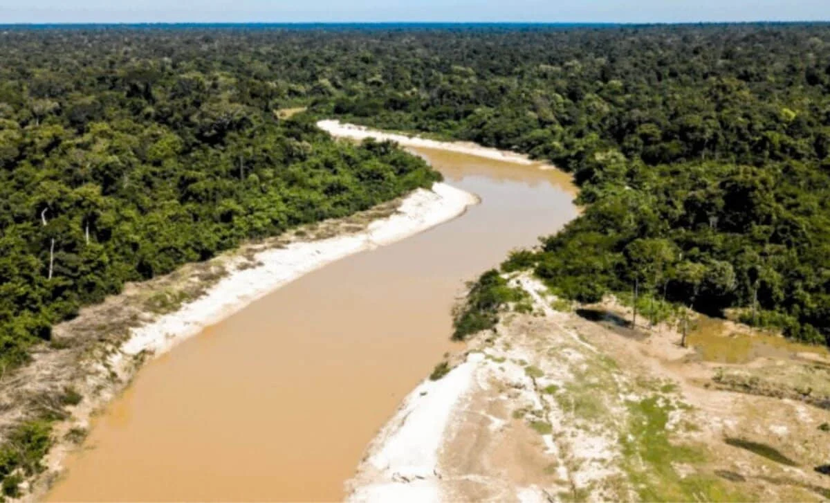 20 ildən çox nəsli kəsilmiş sanılan növ Boliviyada canlı tapıldı