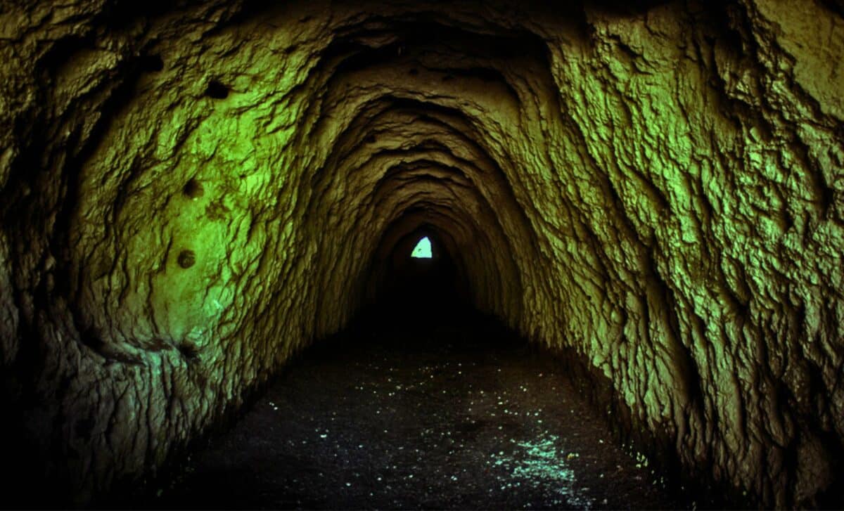 Alyaskada 40 min illik canlı dirildi: Altı ayda dünya dəyişdi