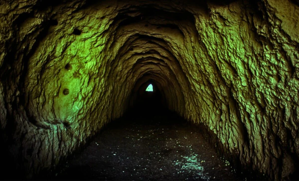 Alyaskada 40 min illik canlı dirildi: Altı ayda dünya dəyişdi