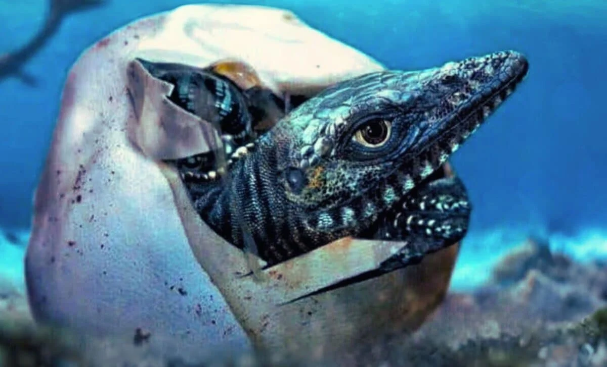 Qədim elmi alt-üst edən 68 milyon illik nəhəng "Əşya" yumurtası Antarktidada tapıldı