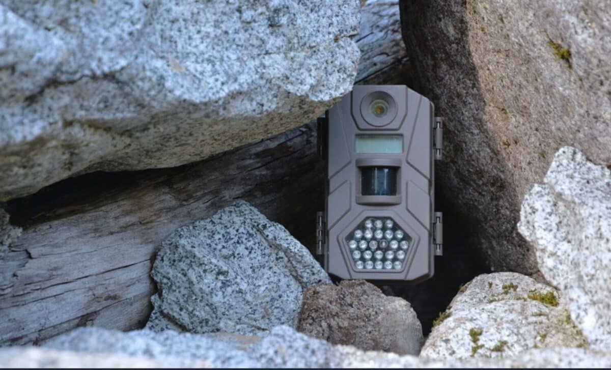 Mağarada 10 il qalan kamera sahibini heyrətləndirdi