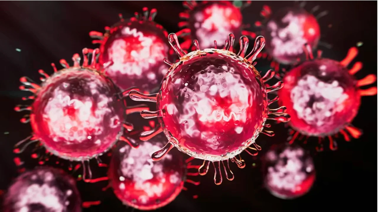 Nyu-Cersidə qızılca həyəcanı: Xəstəxanaya yoluxmuş şəxs daxil olub