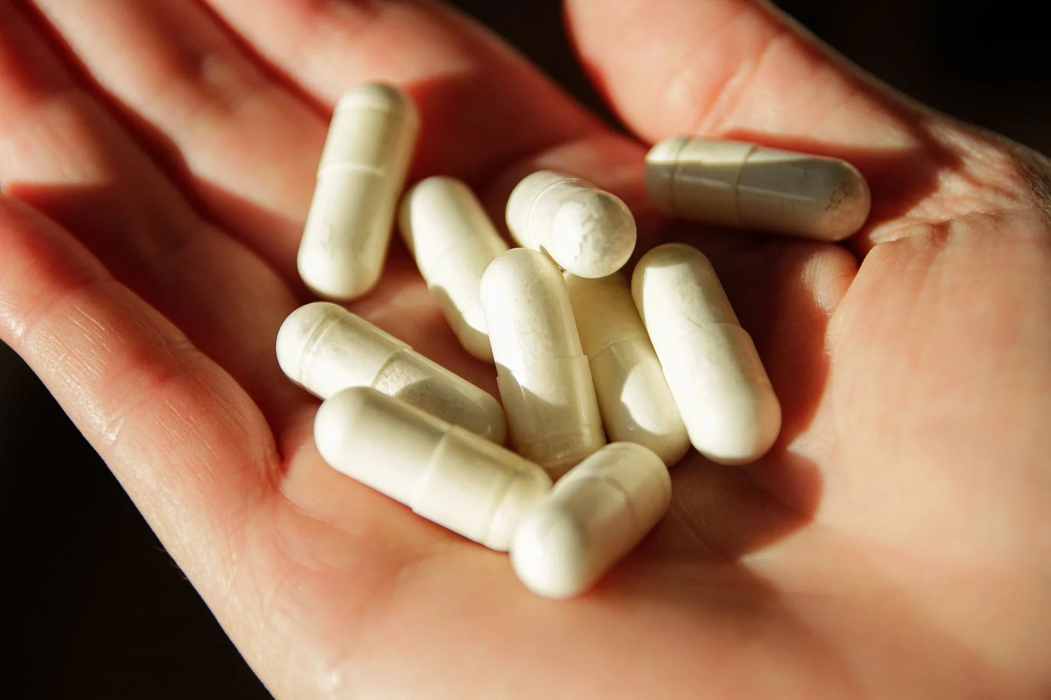 Hər gün probiotik içmək lazımdırmı Dietoloqdan cavab