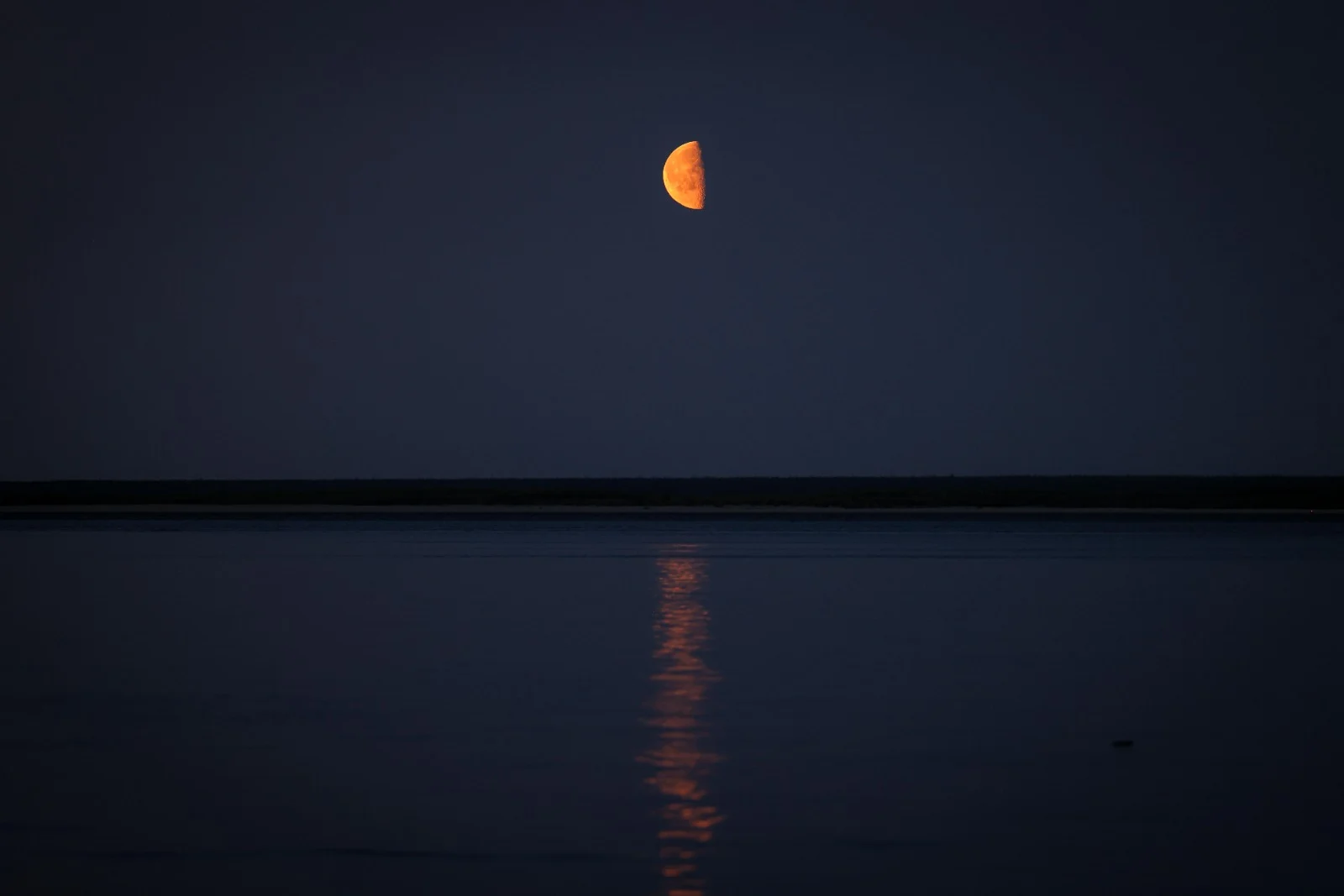 Bürclər: 13 fevral 2026-cı il üçün gündəlik qoroskop