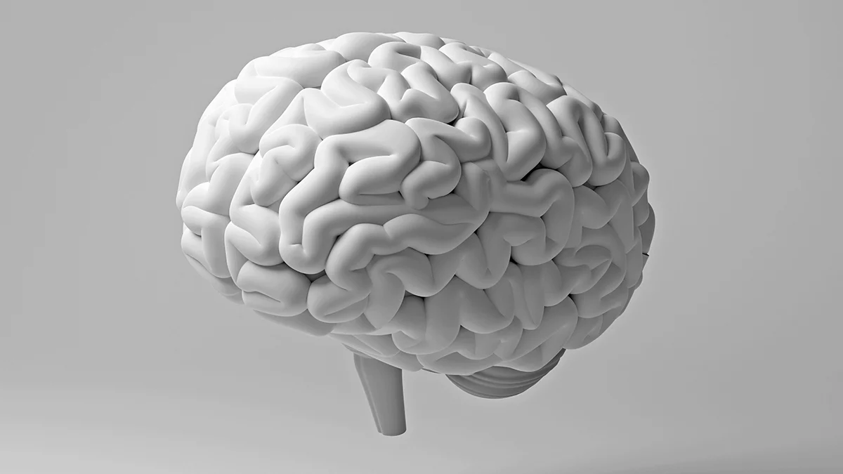 Diş əti xəstəliyi beynin ağ maddəsini zədələyə bilər