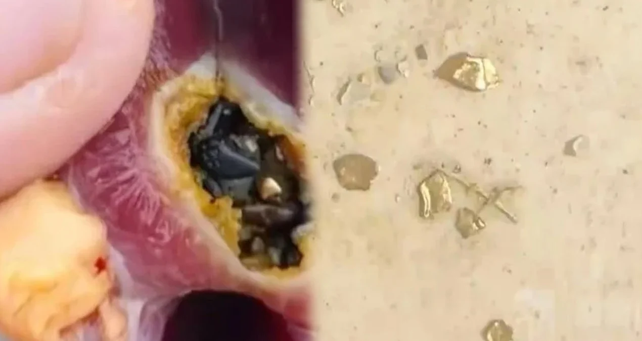 Kəndli ördəyin mədəsində 12 min Yuanlıq qızıl sərvət aşkar etdi