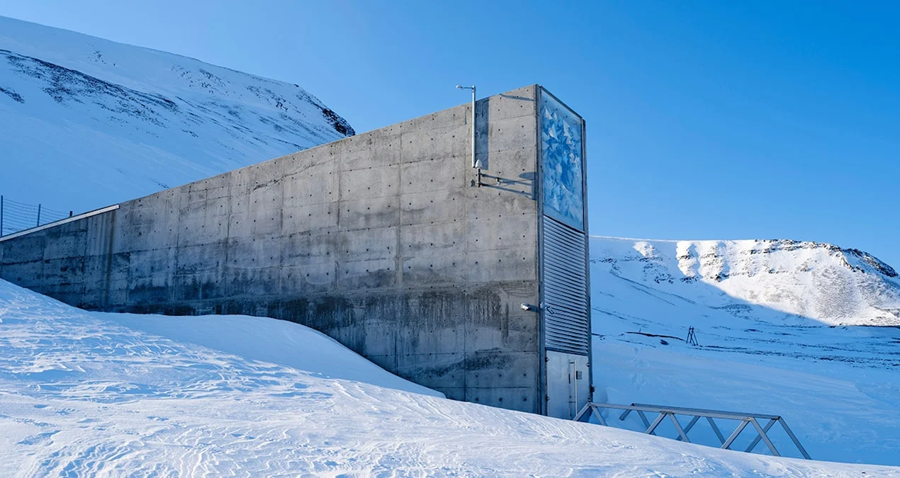 Norveçin Svalbard adaları: Qlobal təhlükələrə qarşı bəşəriyyətin qoruyucu qalxanı
