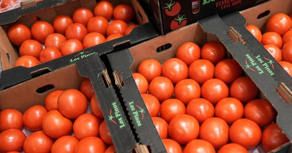 Meksika pomidoruna Trampdan 17% rüsum