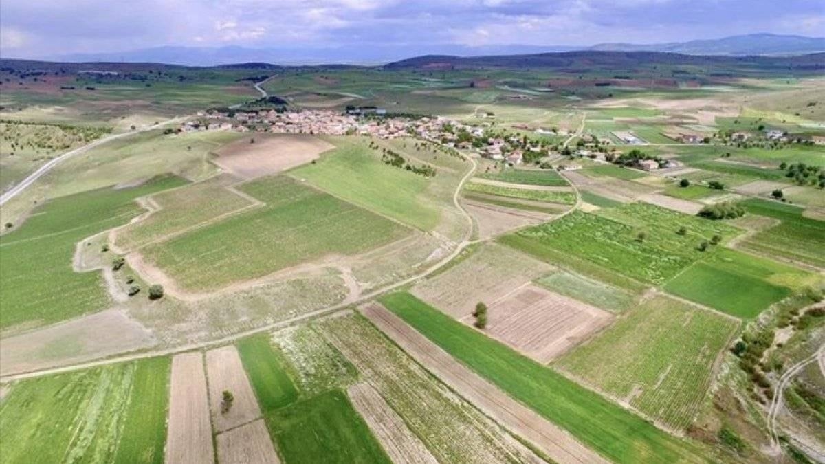 Ölkədən Türk vətəndaşlarına pulsuz torpaq