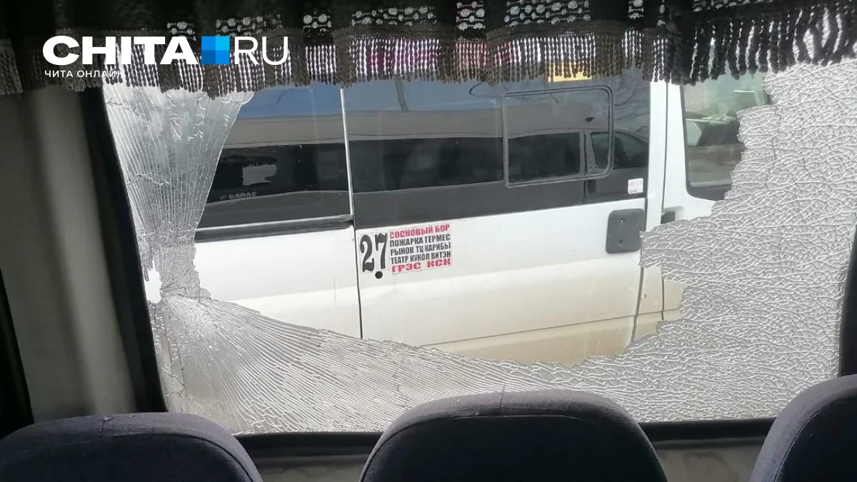 Çitada ikili mikroavtobus qəzasının zərərçəkəni təfərrüatları açıqladı