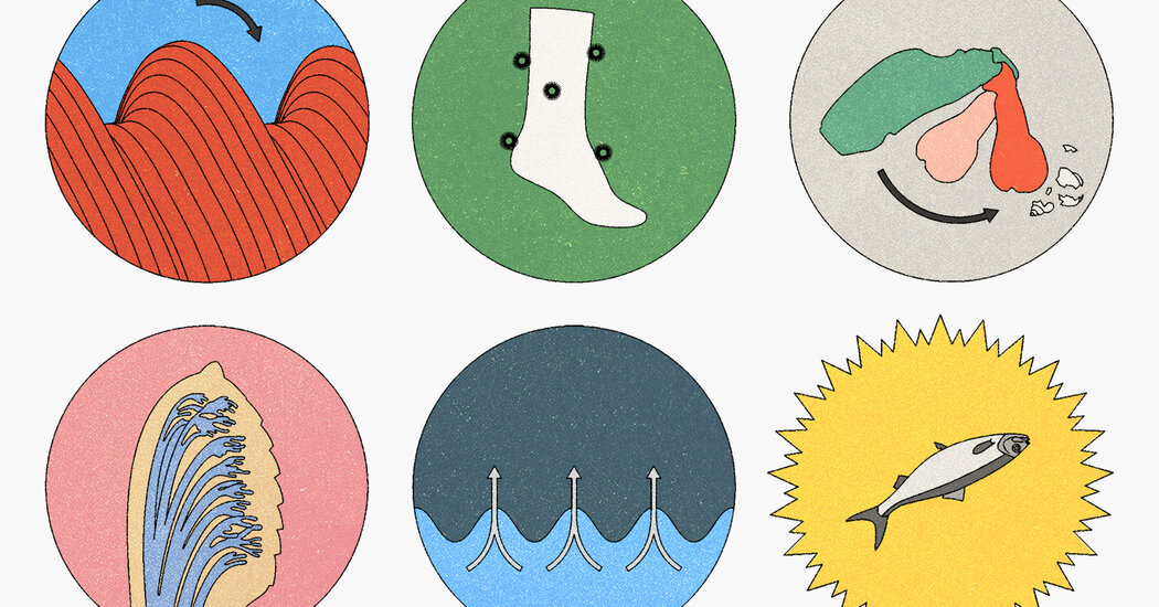 İxtiraçılar təkamüldən ilham alır