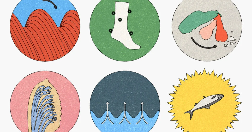 İxtiraçılar təkamüldən ilham alır