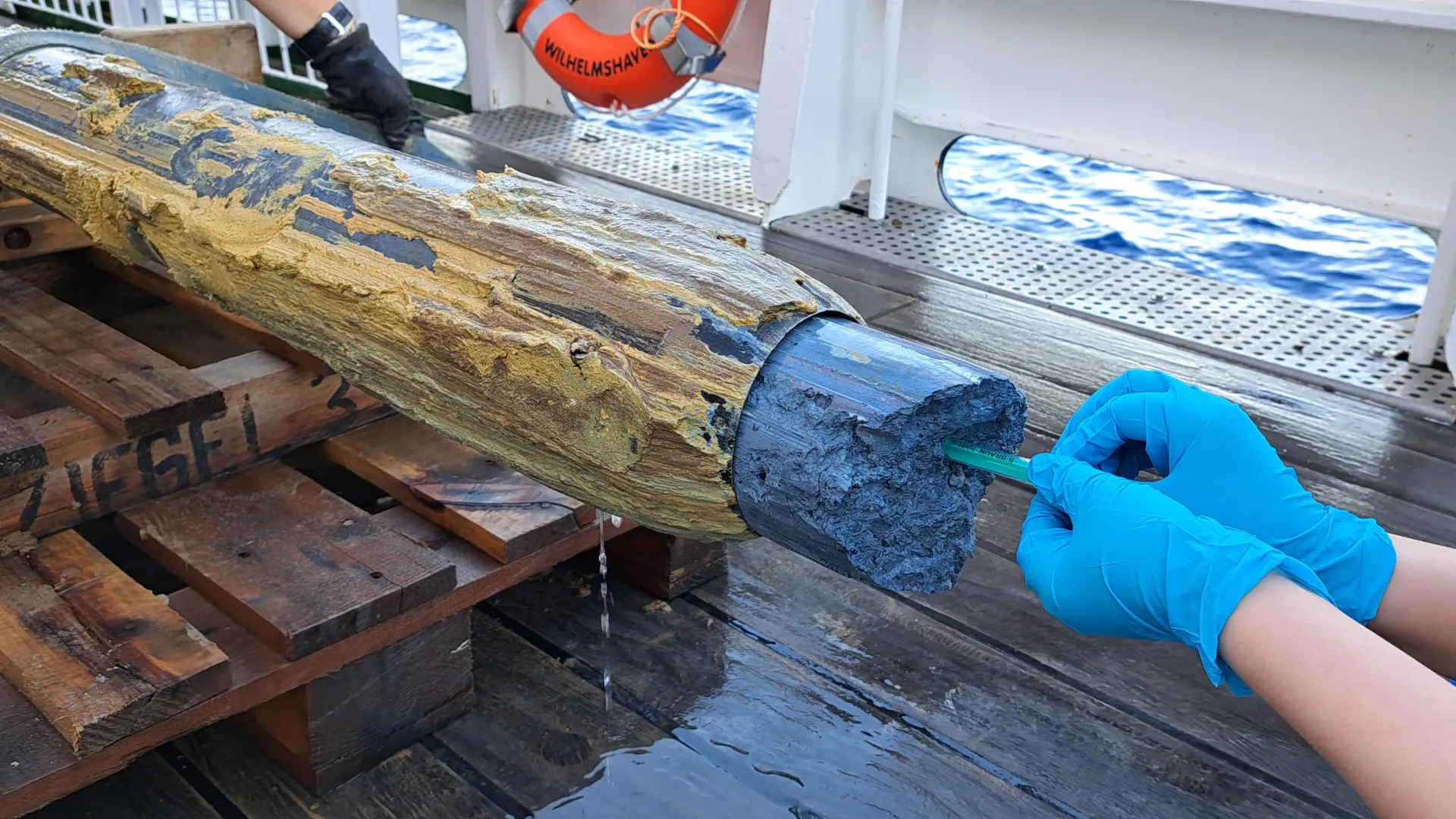 Alimlərin qeyri-mümkün saydığı yerdə həyat