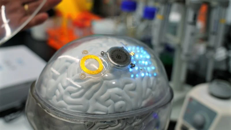 Çin Neyrotexnologiyada ABŞ-a Çatır: Neuralinkə Rəqib Gəlir
