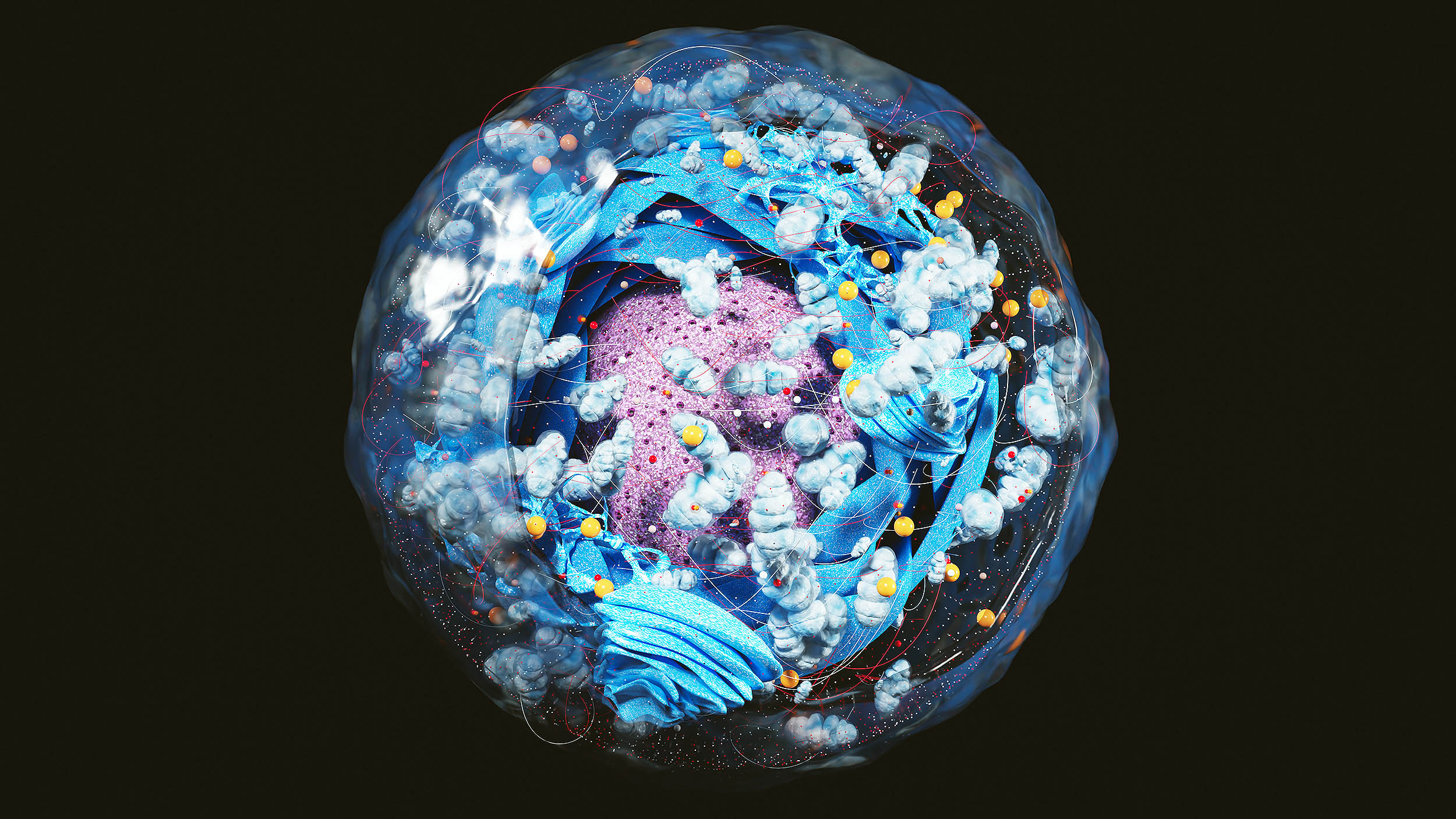 Alimlər hüceyrələrdə "ölüm saatı" kəşf etdilər