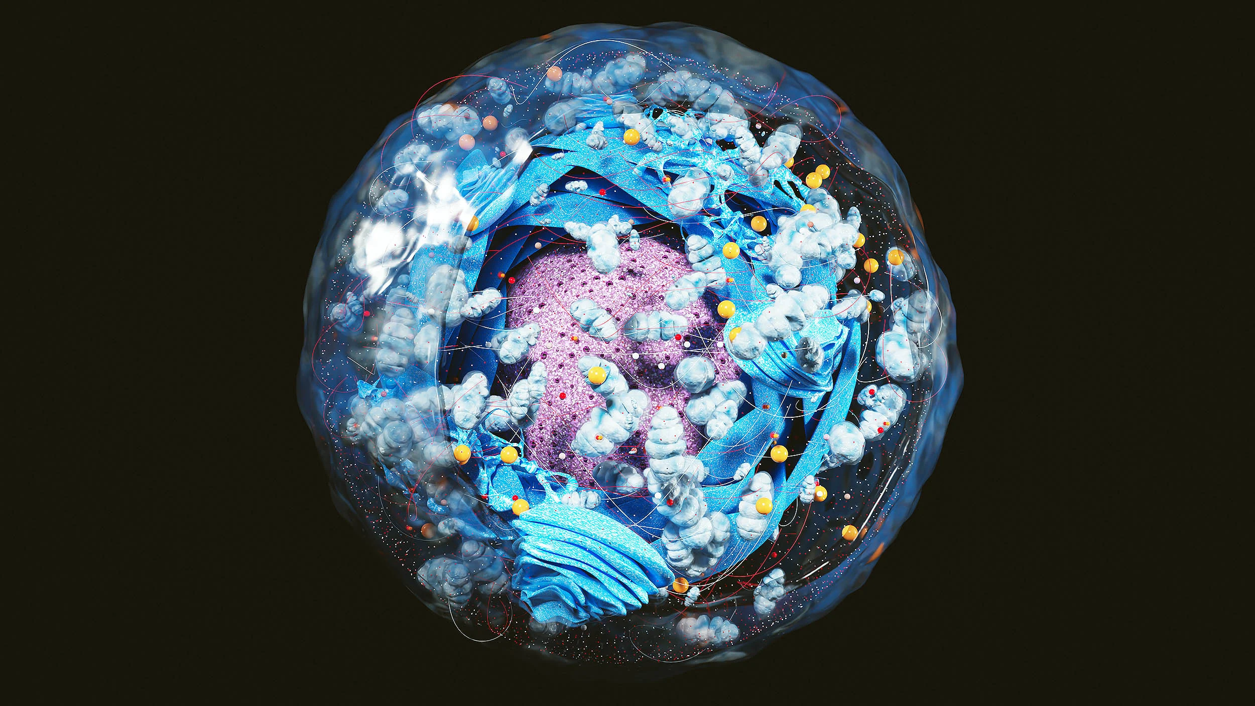 Alimlər hüceyrələrdə "ölüm saatı" kəşf etdilər