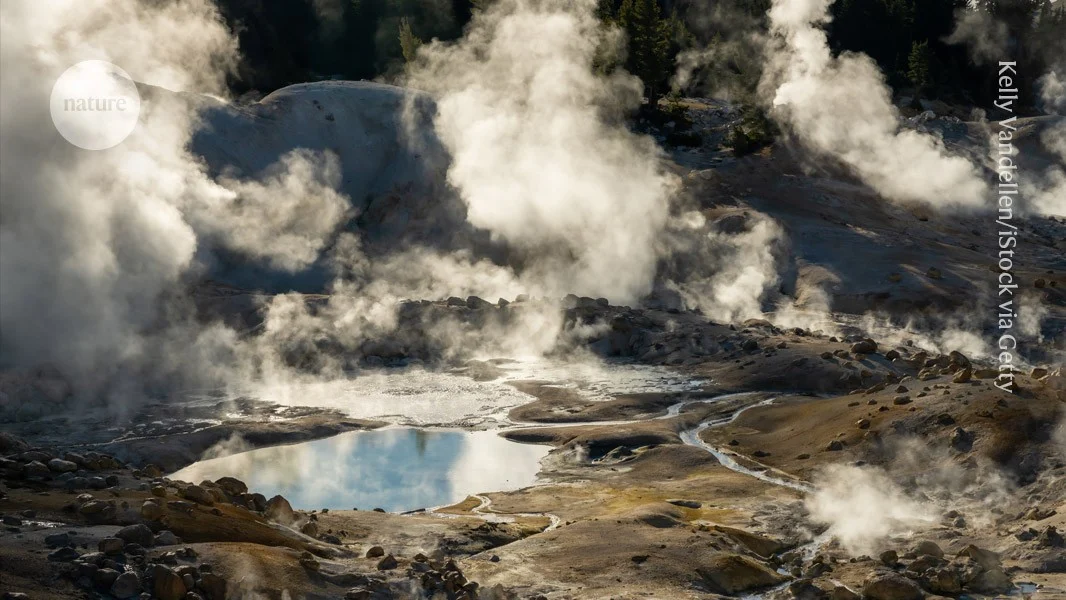 "Od amöbası": Mürəkkəb hüceyrələr arasında istiliyə ən dözümlü canlı