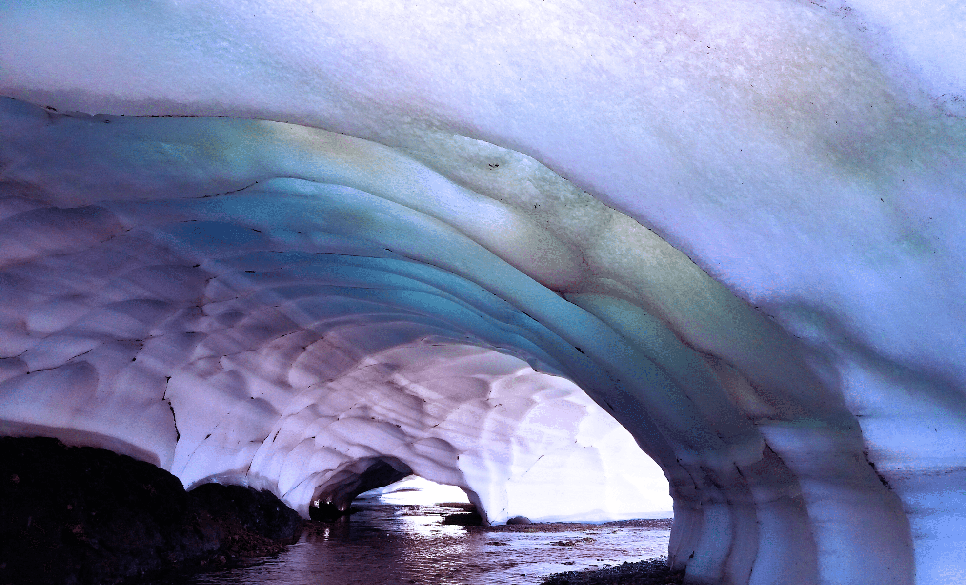Mağara torpağında tapılan DNT Buz dövrü həyatı haqqında məlumatları dəyişdirə bilər