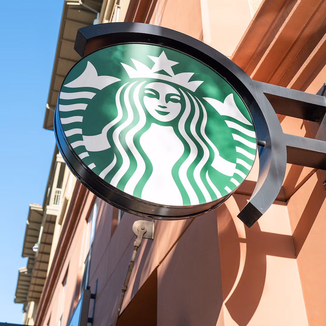 Starbucks Roller Rabbit Kolleksiyası Bearista Fincan Həvəsi Coşarkən