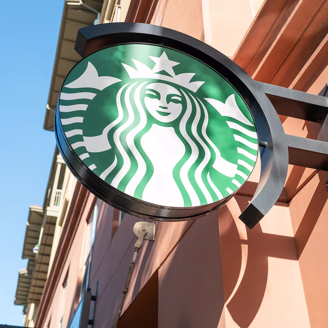 Starbucks Roller Rabbit Kolleksiyası Bearista Fincan Həvəsi Coşarkən