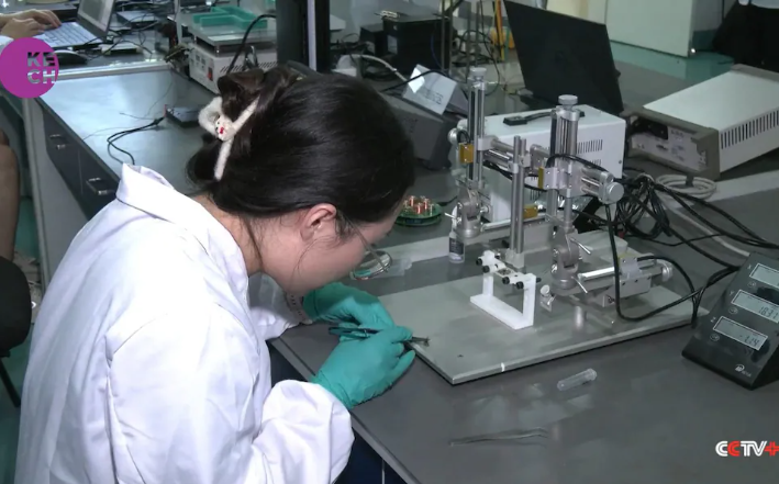 Siber Arılar Gəlir: Yeni Təhdid Yüksəlir