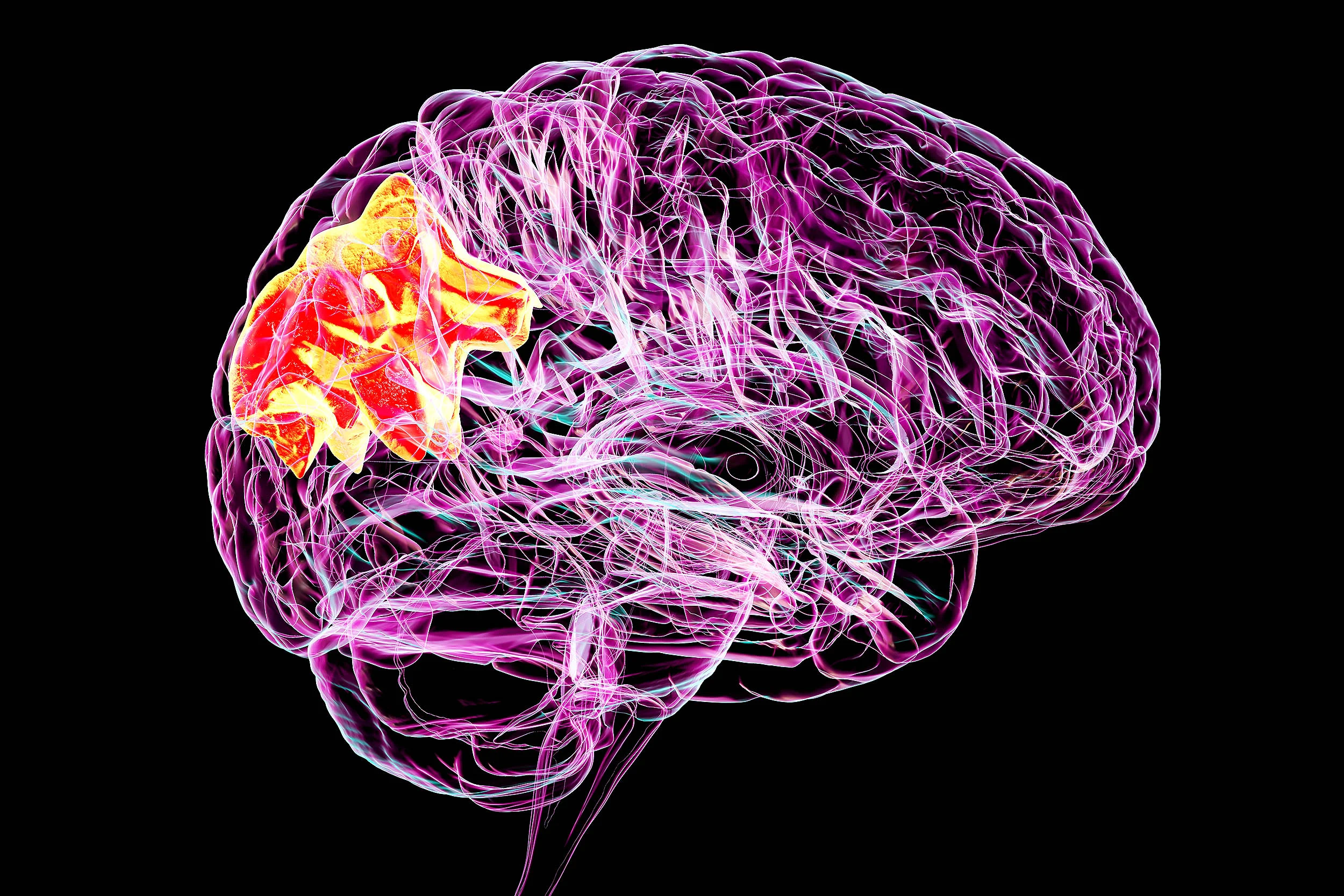 Alimlər pis xatirələri silməyin yolunu tapdı