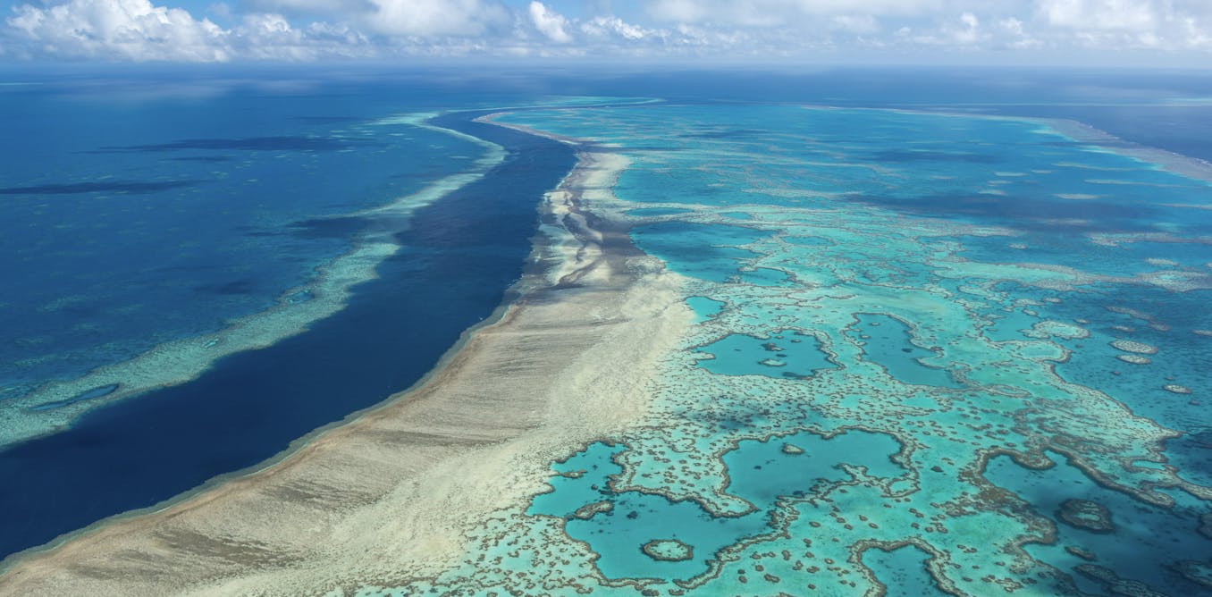 Mərcan rifləri 250 milyon ildir Yerin iqliminə yön verir