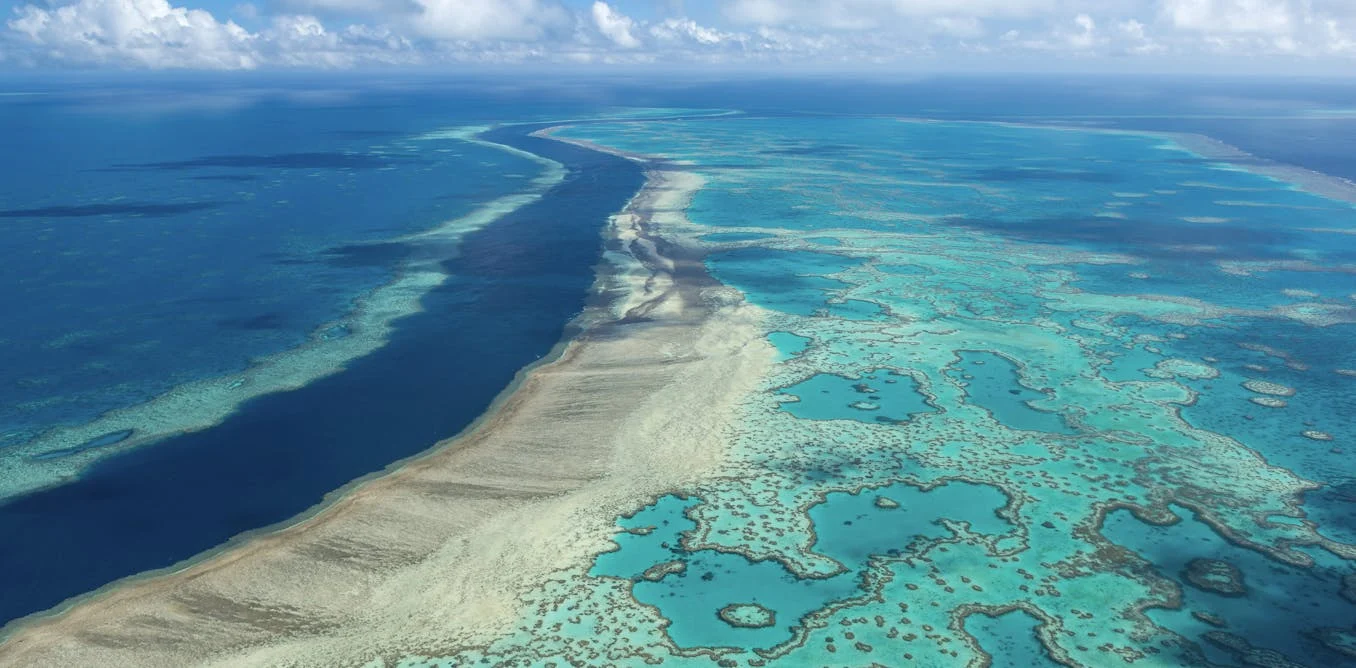 Mərcan rifləri 250 milyon ildir Yerin iqliminə yön verir