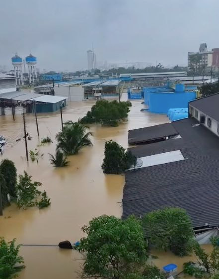 Leysan və nəhəng ilanlar şəhəri basdı: Hər kəs gərginlikdə