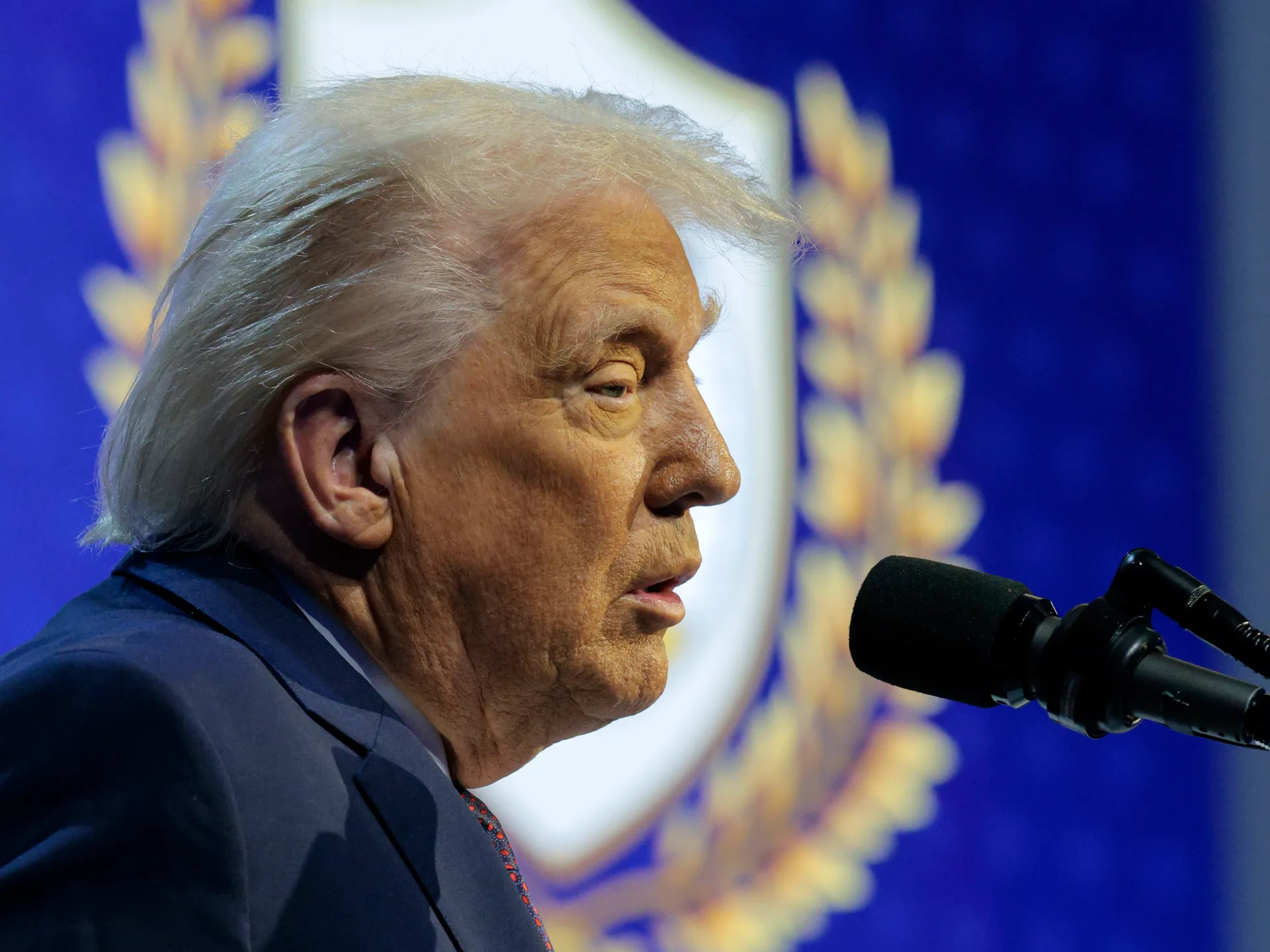 Trampın Sülh Şurası Konsept sınağı ilk görüşdə nə əldə ediləcək