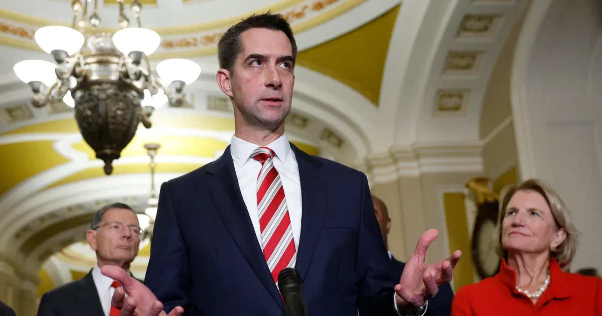 Senator ABŞ bazalarına, sərhədə və mülki tədbirlərə icazəsiz pilotsuz uçuşların artan təhlükəsi barədə xəbərdarlıq edib