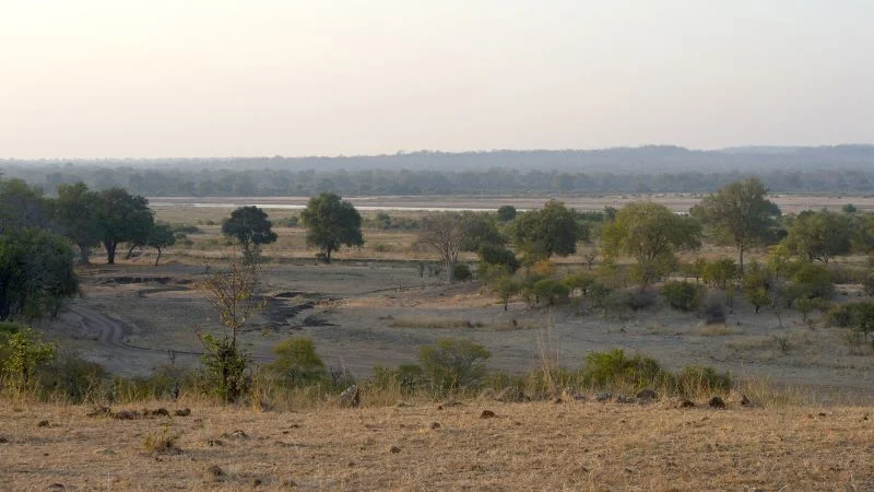 Fil Hücumu: Zambiyada Britaniya və Yeni Zelandiyalı Turistlər Öldü