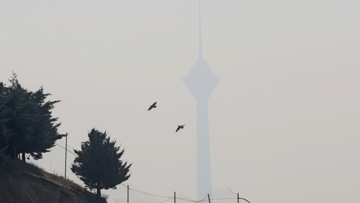 18 şəhərdə məktəblər qəfildən uzaqdan təhsilə keçir: Epidemiya nəzarətdən çıxıb