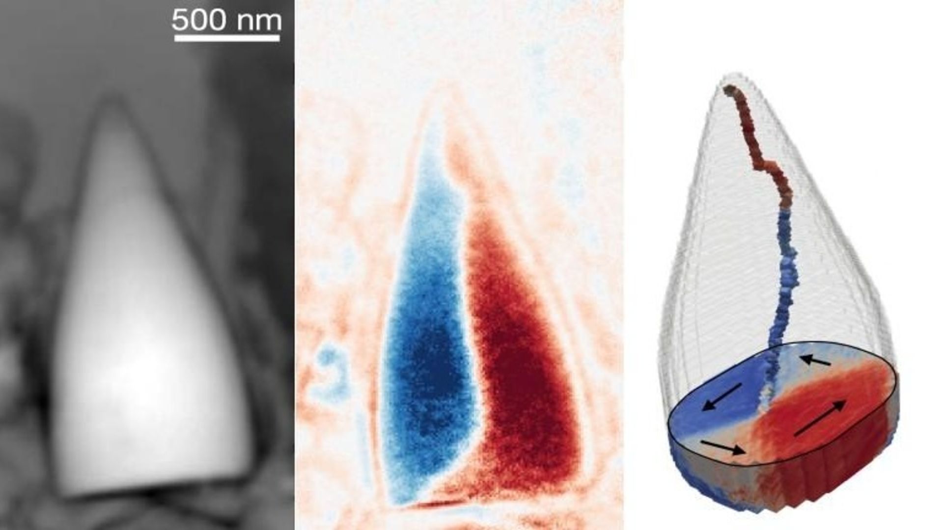 Alimlər daxili GPS-ə malik naməlum canlının qədim maqnit fosillərini aşkar etdi