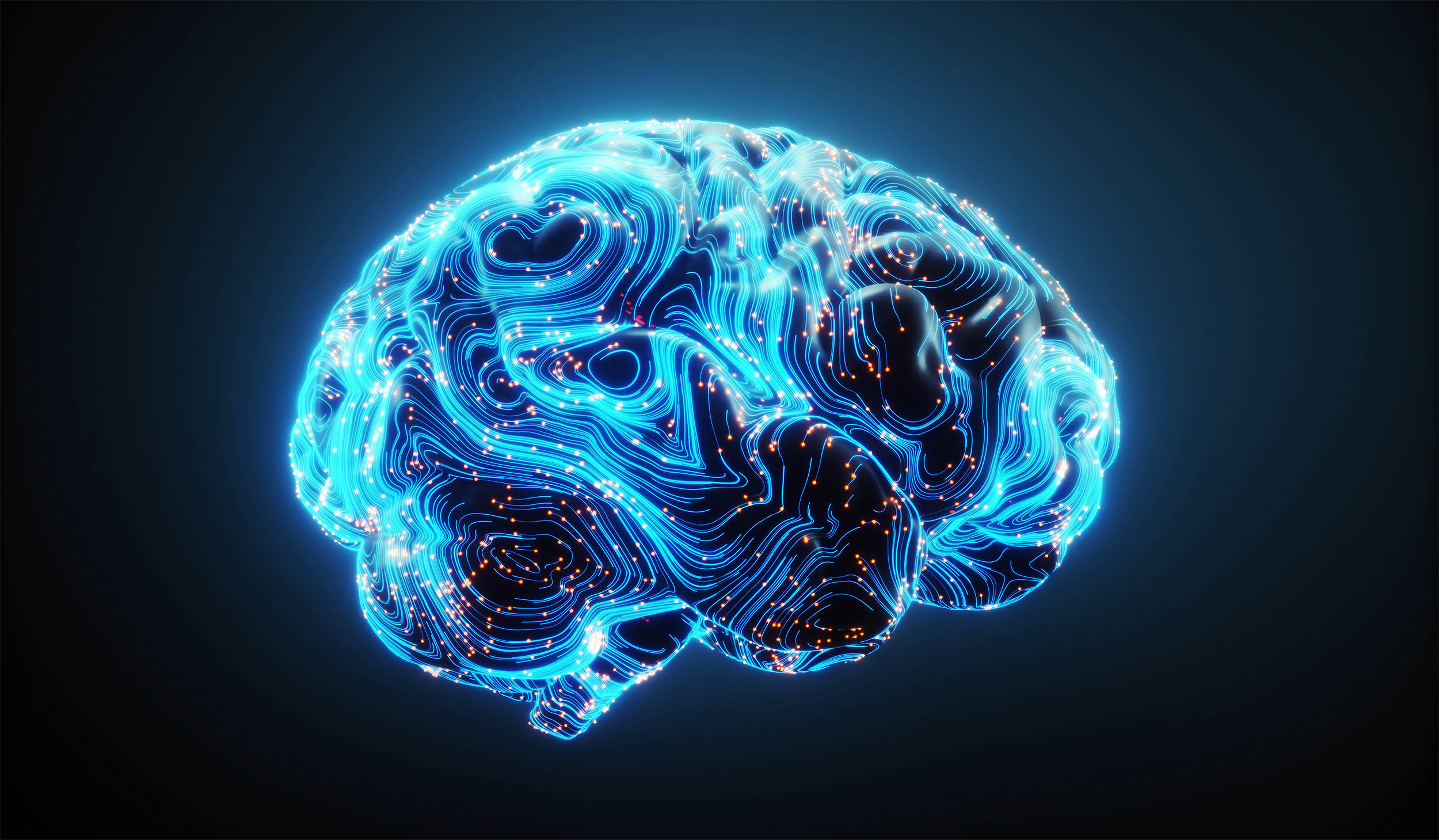 İnsan beyni doğuşdan dünyanı idrak etməyə proqramlaşdırılıb