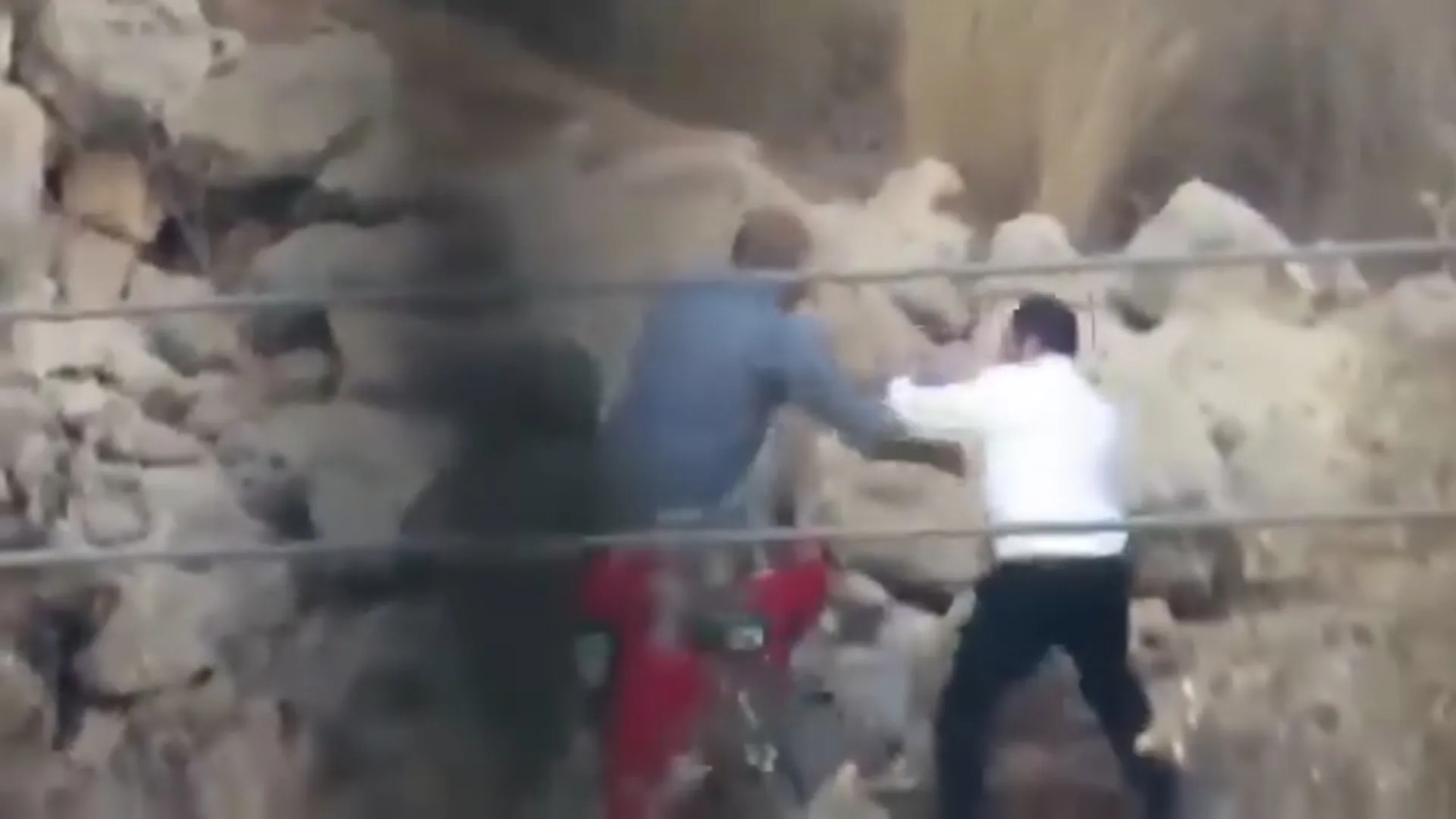 İşğal olunmuş Şərqi Qüdsdə Fələstinlilərin illik zeytun yığımına İsrailli məskunlaşanlar və əsgərlər hücum edib