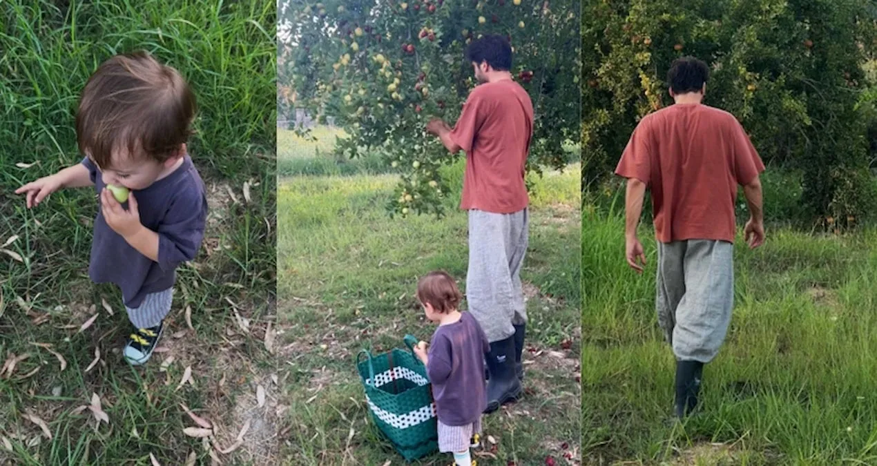 Ekranların sevilen üzü oğlu ilə bağda məhsul yığdı