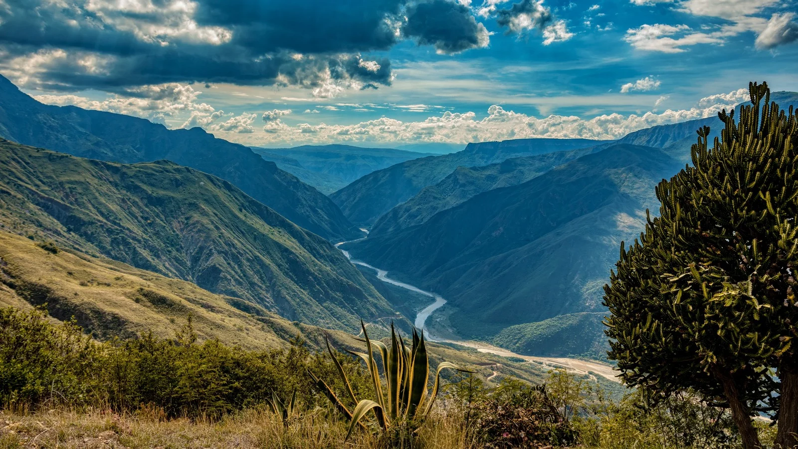 Yoxa çıxmış qəbilənin 6000 illik sirri üzə çıxa bilər